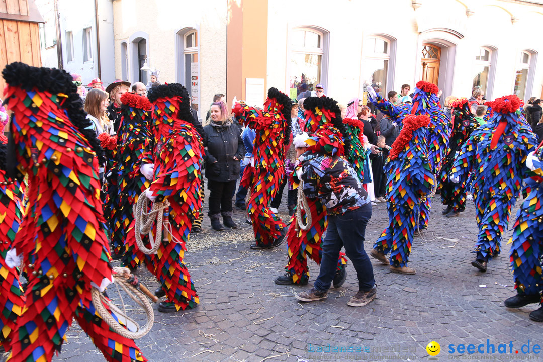 Narrensprung - Narrenbaumsetzen: Meersburg am Bodensee, 23.02.2014