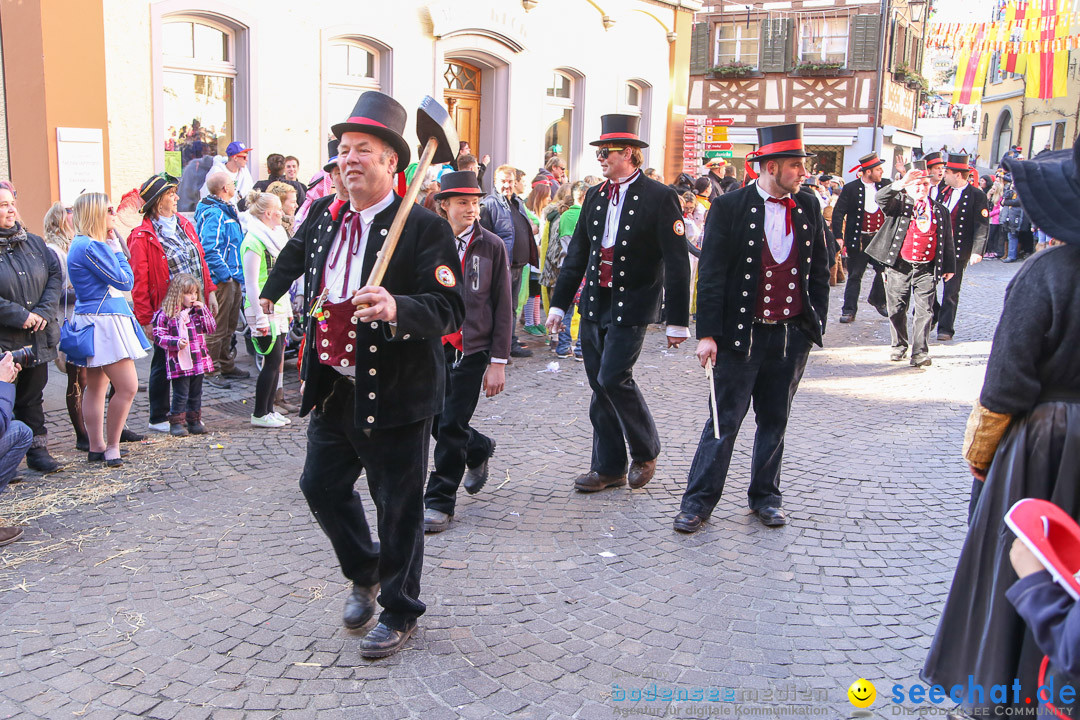 Narrensprung - Narrenbaumsetzen: Meersburg am Bodensee, 23.02.2014