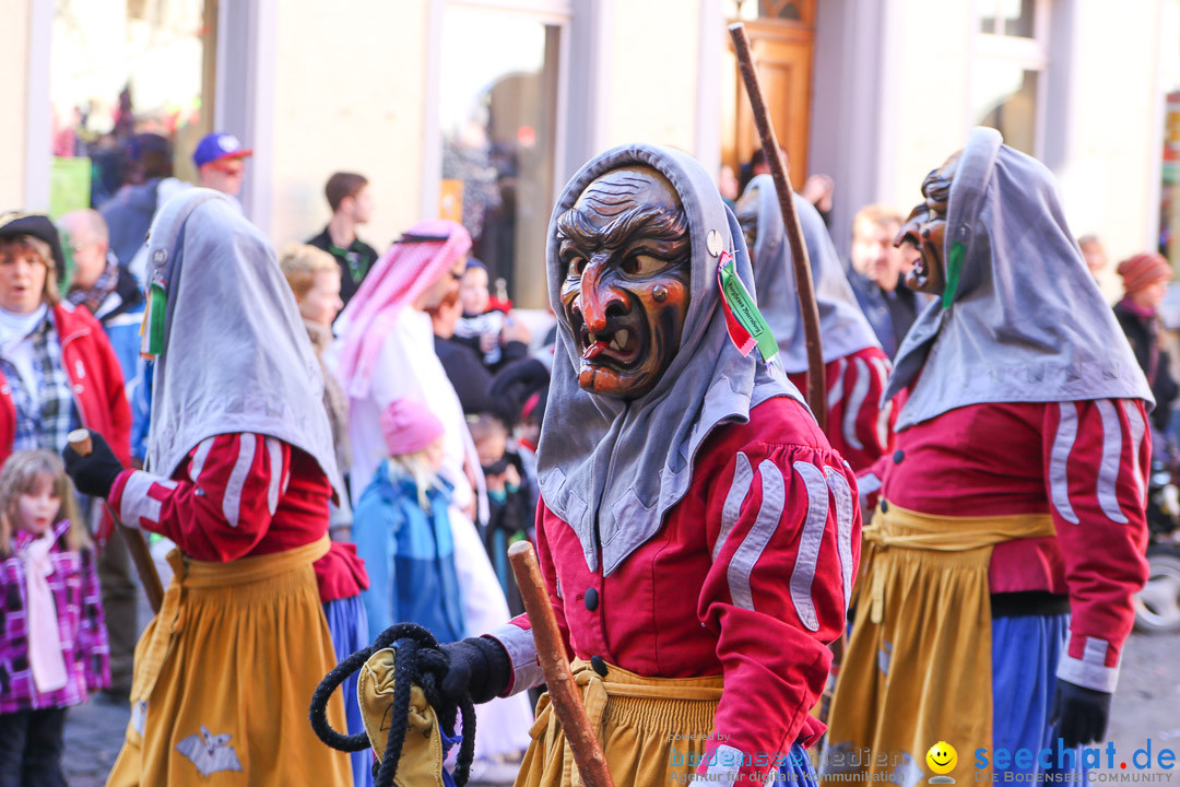 Narrensprung - Narrenbaumsetzen: Meersburg am Bodensee, 23.02.2014