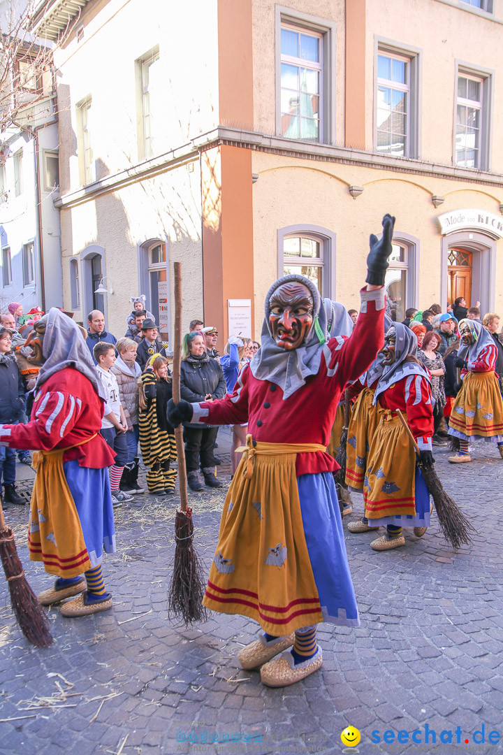 Narrensprung - Narrenbaumsetzen: Meersburg am Bodensee, 23.02.2014