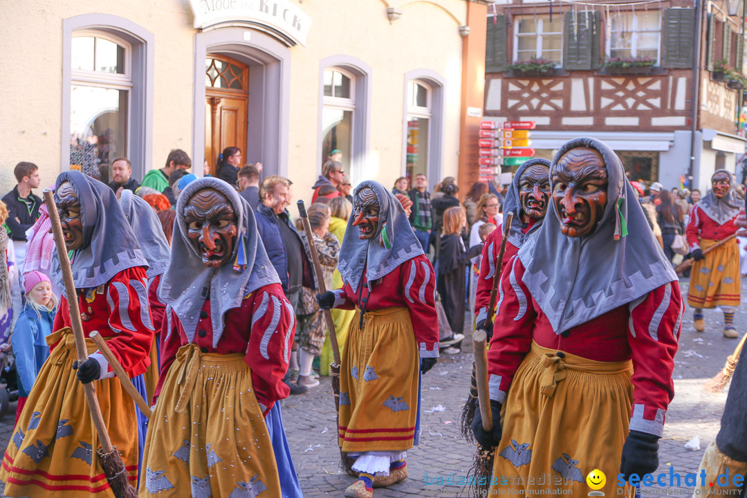 Narrensprung - Narrenbaumsetzen: Meersburg am Bodensee, 23.02.2014