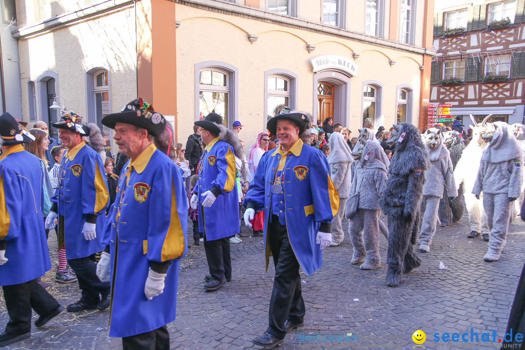 Narrensprung - Narrenbaumsetzen: Meersburg am Bodensee, 23.02.2014