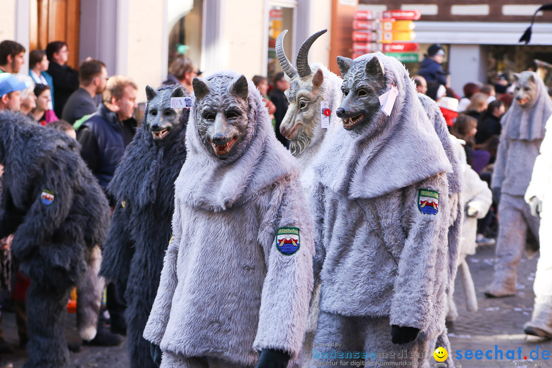 Narrensprung - Narrenbaumsetzen: Meersburg am Bodensee, 23.02.2014