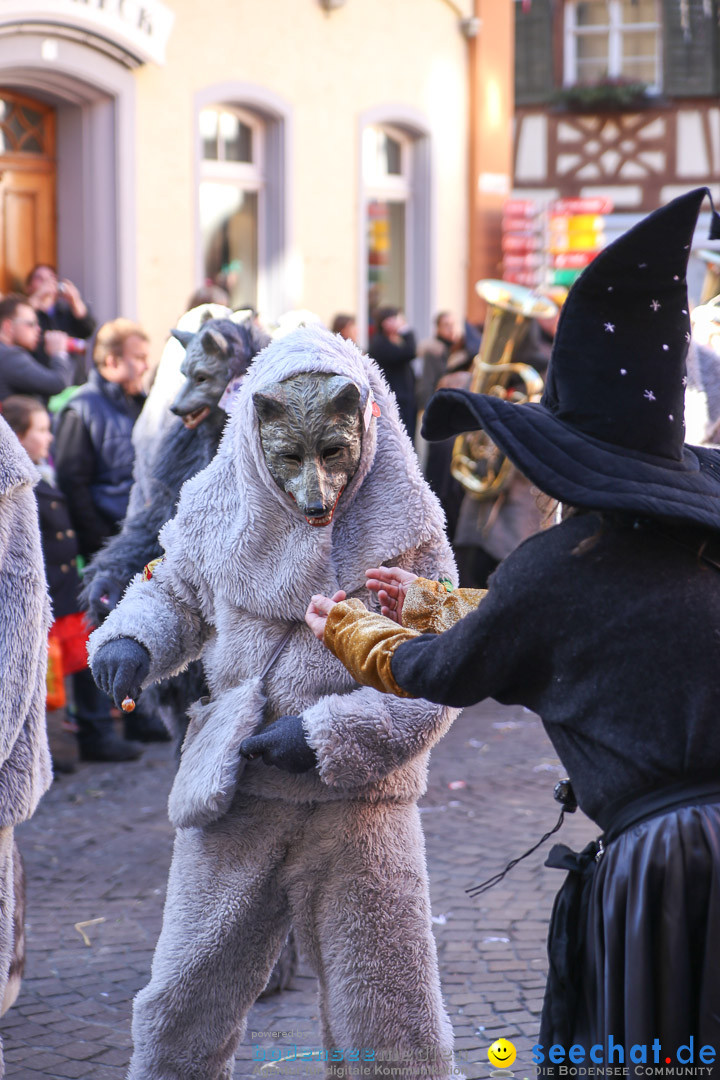 Narrensprung - Narrenbaumsetzen: Meersburg am Bodensee, 23.02.2014