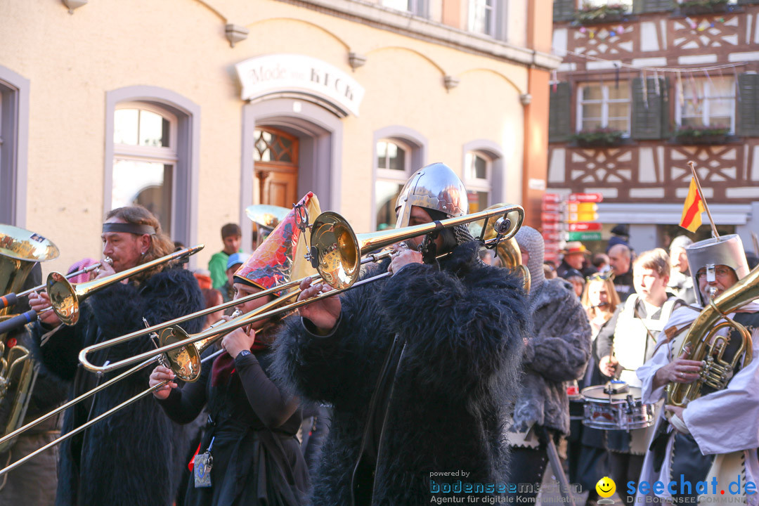 Narrensprung - Narrenbaumsetzen: Meersburg am Bodensee, 23.02.2014