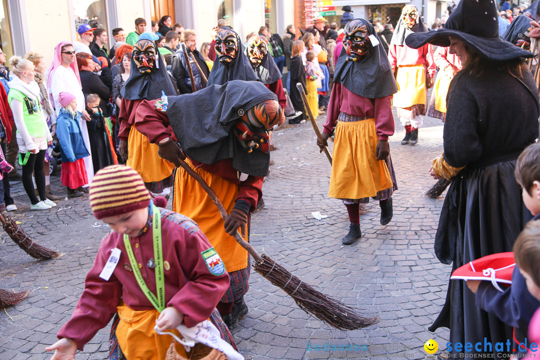 Narrensprung - Narrenbaumsetzen: Meersburg am Bodensee, 23.02.2014