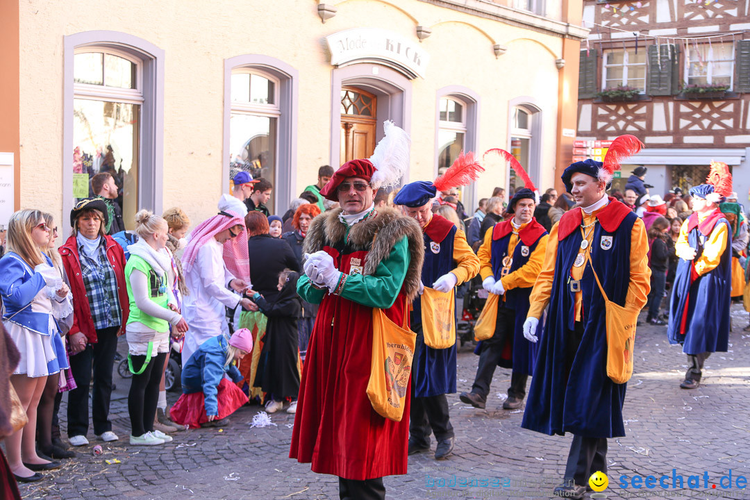 Narrensprung - Narrenbaumsetzen: Meersburg am Bodensee, 23.02.2014