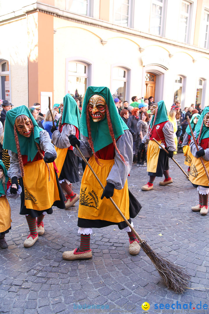 Narrensprung - Narrenbaumsetzen: Meersburg am Bodensee, 23.02.2014