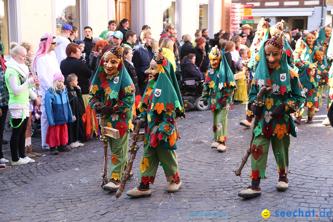 Narrensprung - Narrenbaumsetzen: Meersburg am Bodensee, 23.02.2014