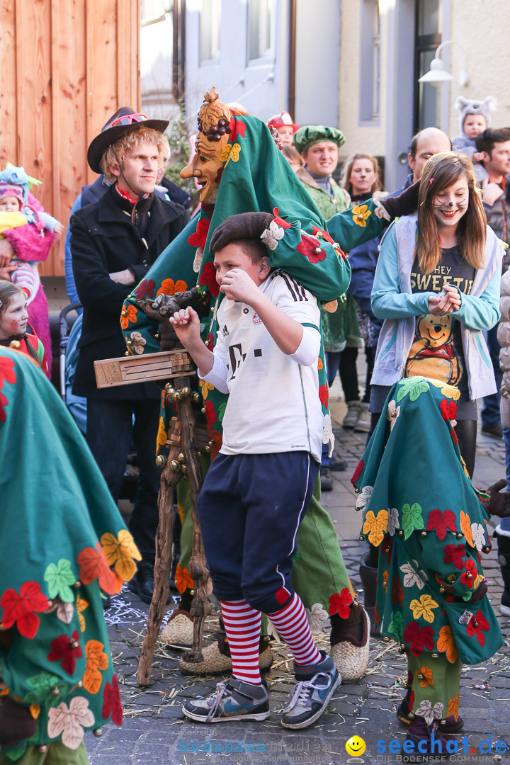 Narrensprung - Narrenbaumsetzen: Meersburg am Bodensee, 23.02.2014