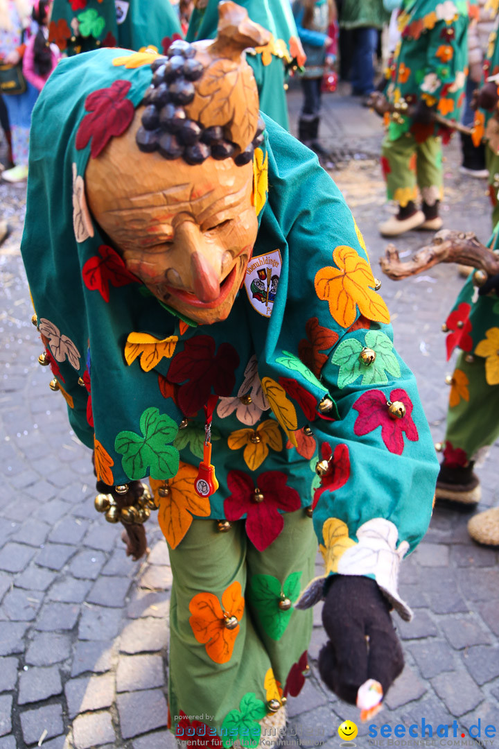 Narrensprung - Narrenbaumsetzen: Meersburg am Bodensee, 23.02.2014