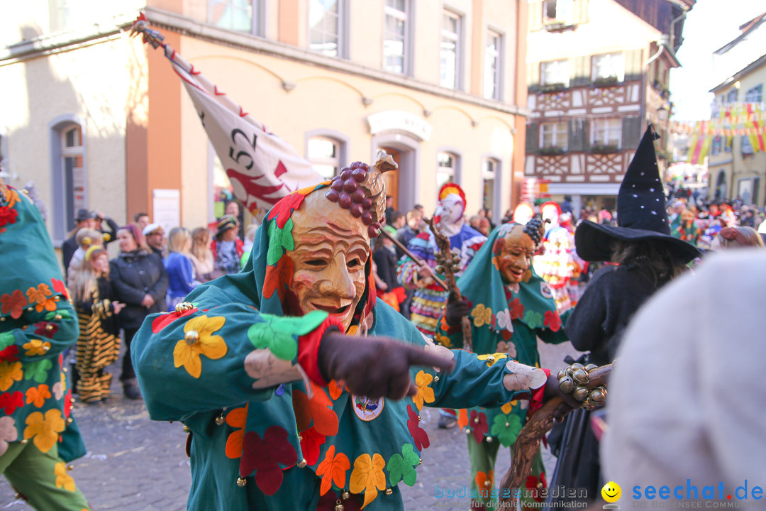 Narrensprung - Narrenbaumsetzen: Meersburg am Bodensee, 23.02.2014