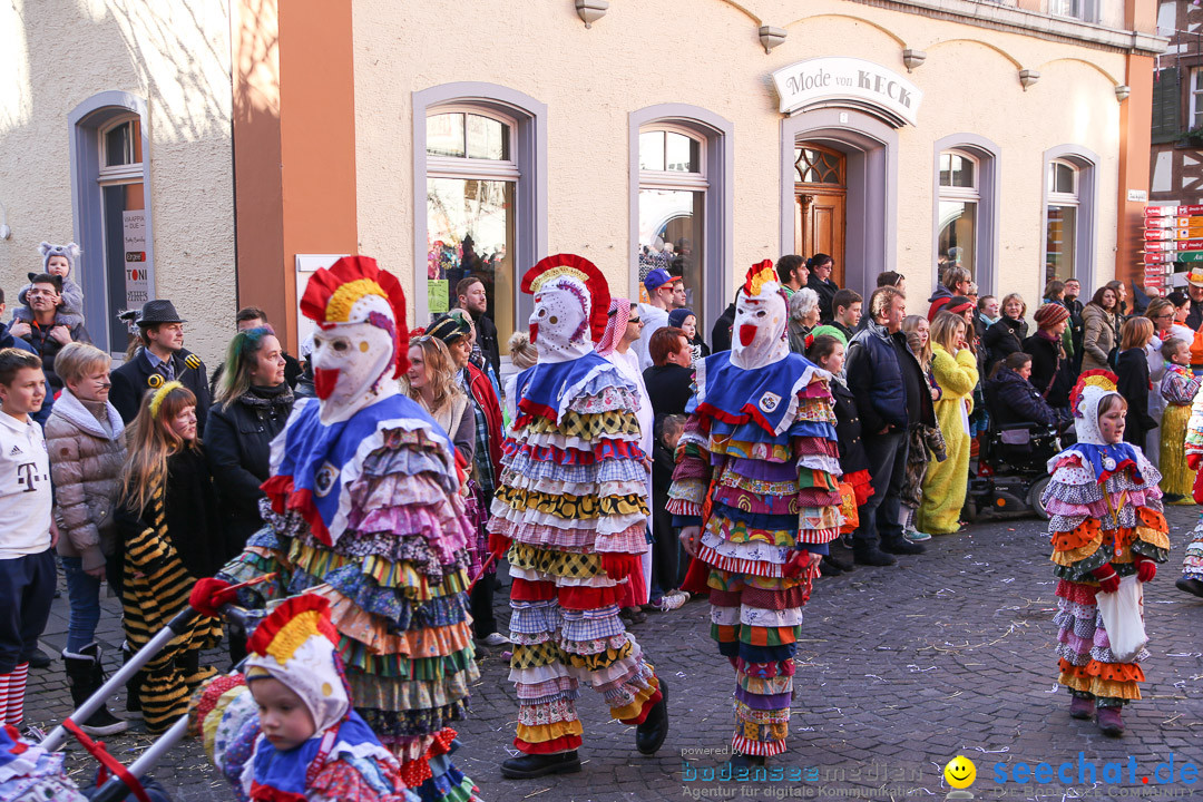 Narrensprung - Narrenbaumsetzen: Meersburg am Bodensee, 23.02.2014