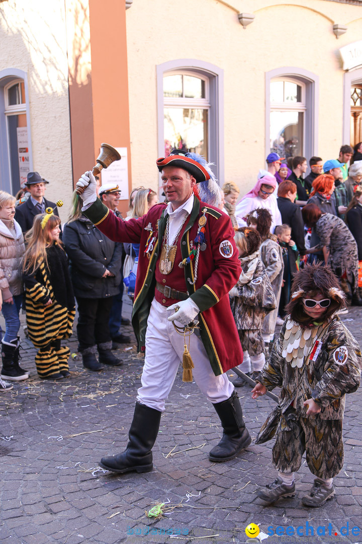 Narrensprung - Narrenbaumsetzen: Meersburg am Bodensee, 23.02.2014