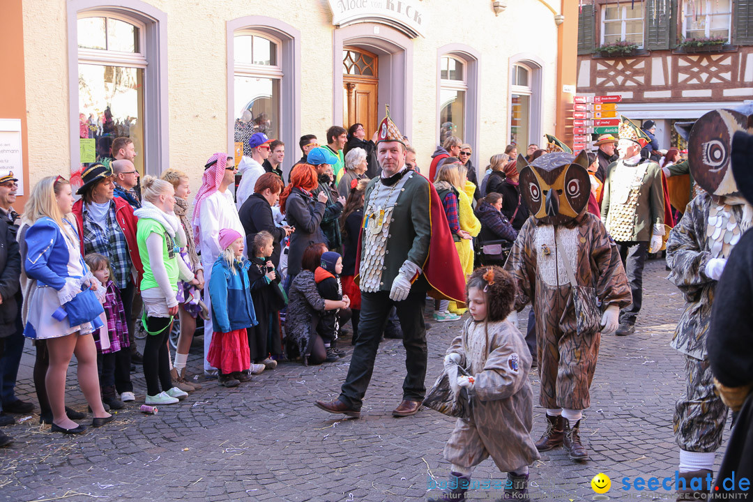 Narrensprung - Narrenbaumsetzen: Meersburg am Bodensee, 23.02.2014