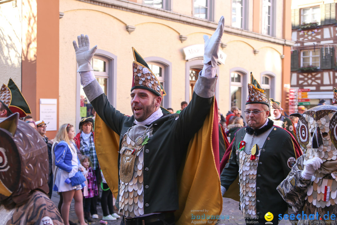 Narrensprung - Narrenbaumsetzen: Meersburg am Bodensee, 23.02.2014