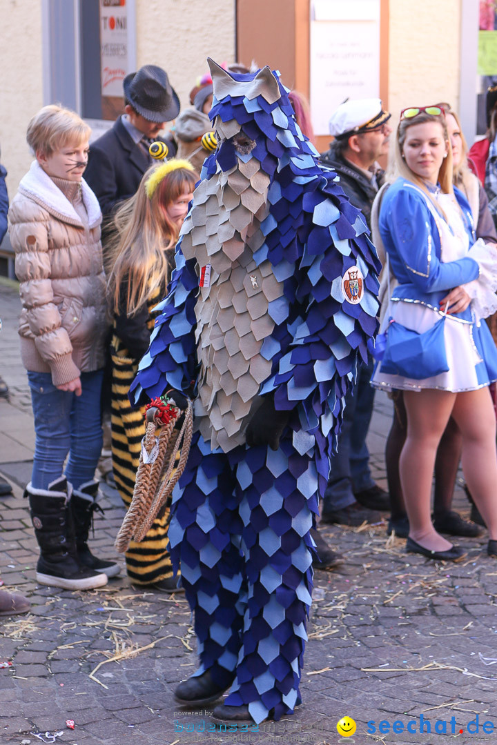 Narrensprung - Narrenbaumsetzen: Meersburg am Bodensee, 23.02.2014