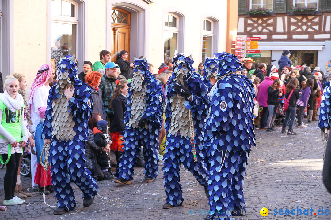 Narrensprung - Narrenbaumsetzen: Meersburg am Bodensee, 23.02.2014