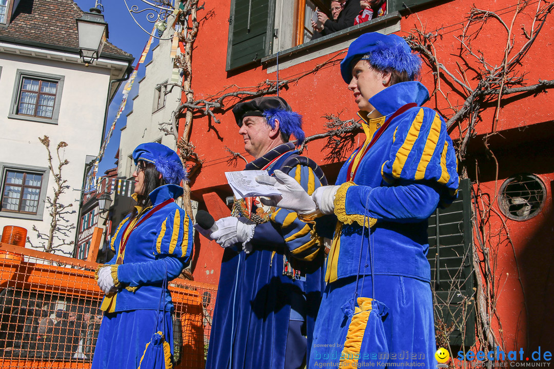 Narrensprung - Narrenbaumsetzen: Meersburg am Bodensee, 23.02.2014