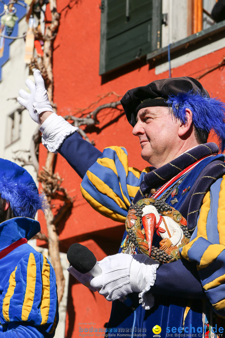 Narrensprung - Narrenbaumsetzen: Meersburg am Bodensee, 23.02.2014