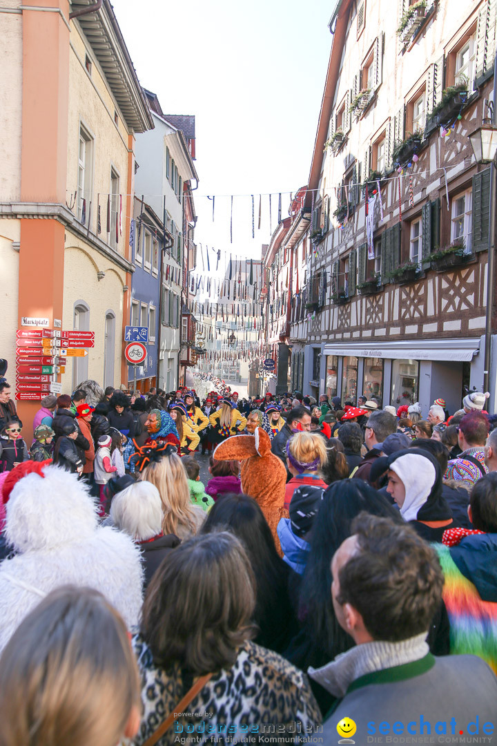 Narrensprung - Narrenbaumsetzen: Meersburg am Bodensee, 23.02.2014