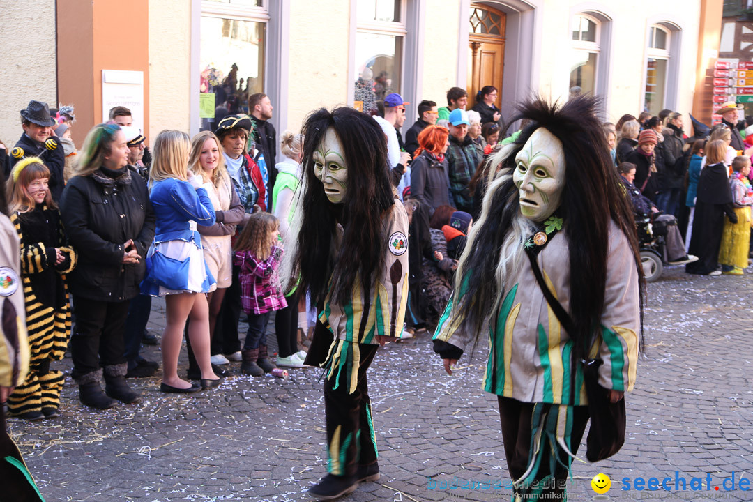 Narrensprung - Narrenbaumsetzen: Meersburg am Bodensee, 23.02.2014