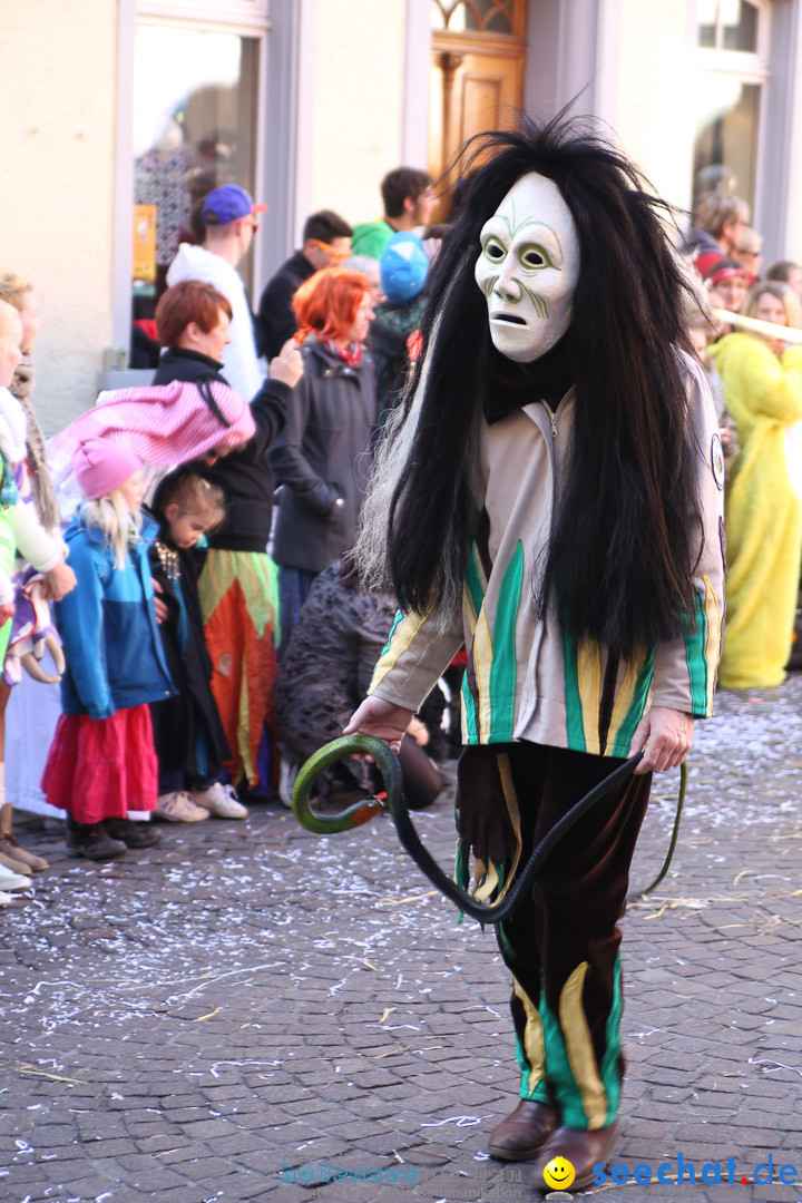 Narrensprung - Narrenbaumsetzen: Meersburg am Bodensee, 23.02.2014