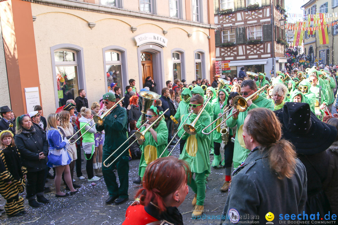 Narrensprung - Narrenbaumsetzen: Meersburg am Bodensee, 23.02.2014