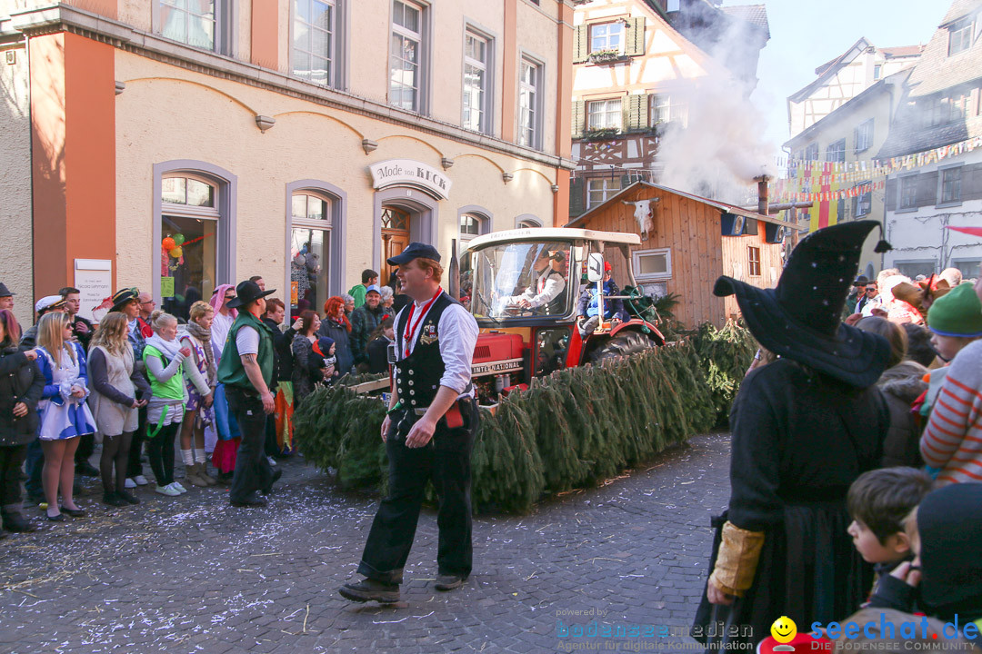 Narrensprung - Narrenbaumsetzen: Meersburg am Bodensee, 23.02.2014