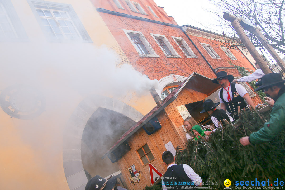 Narrensprung - Narrenbaumsetzen: Meersburg am Bodensee, 23.02.2014