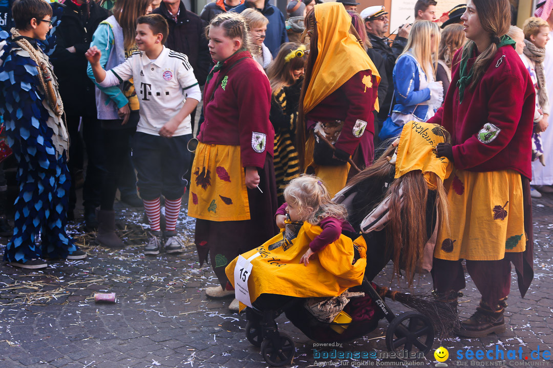 Narrensprung - Narrenbaumsetzen: Meersburg am Bodensee, 23.02.2014