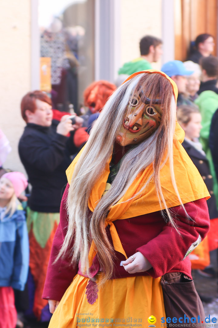 Narrensprung - Narrenbaumsetzen: Meersburg am Bodensee, 23.02.2014