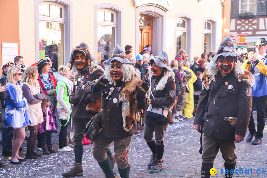 Narrensprung - Narrenbaumsetzen: Meersburg am Bodensee, 23.02.2014