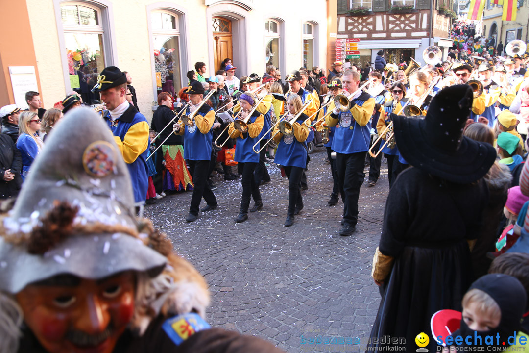 Narrensprung - Narrenbaumsetzen: Meersburg am Bodensee, 23.02.2014