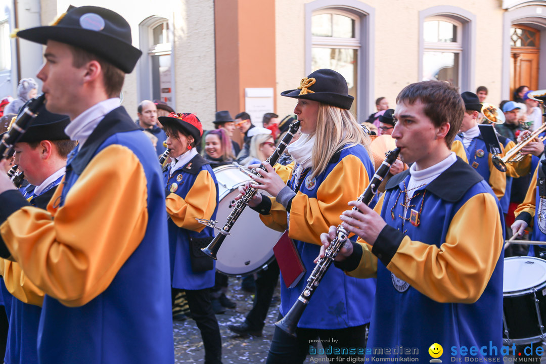 Narrensprung - Narrenbaumsetzen: Meersburg am Bodensee, 23.02.2014