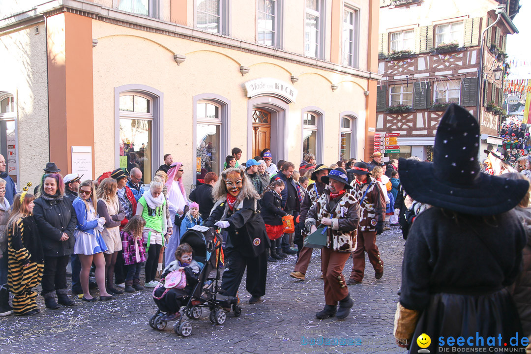 Narrensprung - Narrenbaumsetzen: Meersburg am Bodensee, 23.02.2014