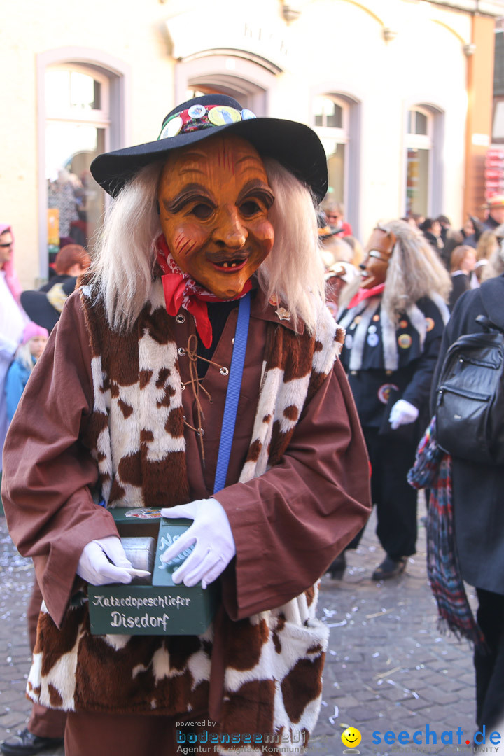 Narrensprung - Narrenbaumsetzen: Meersburg am Bodensee, 23.02.2014