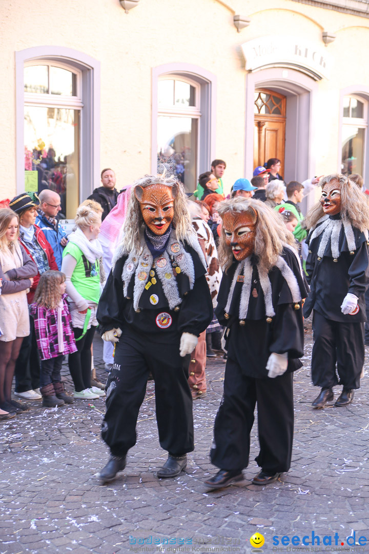 Narrensprung - Narrenbaumsetzen: Meersburg am Bodensee, 23.02.2014