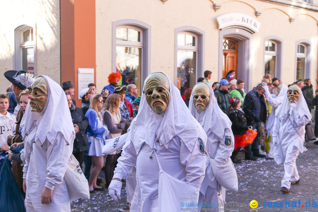 Narrensprung - Narrenbaumsetzen: Meersburg am Bodensee, 23.02.2014