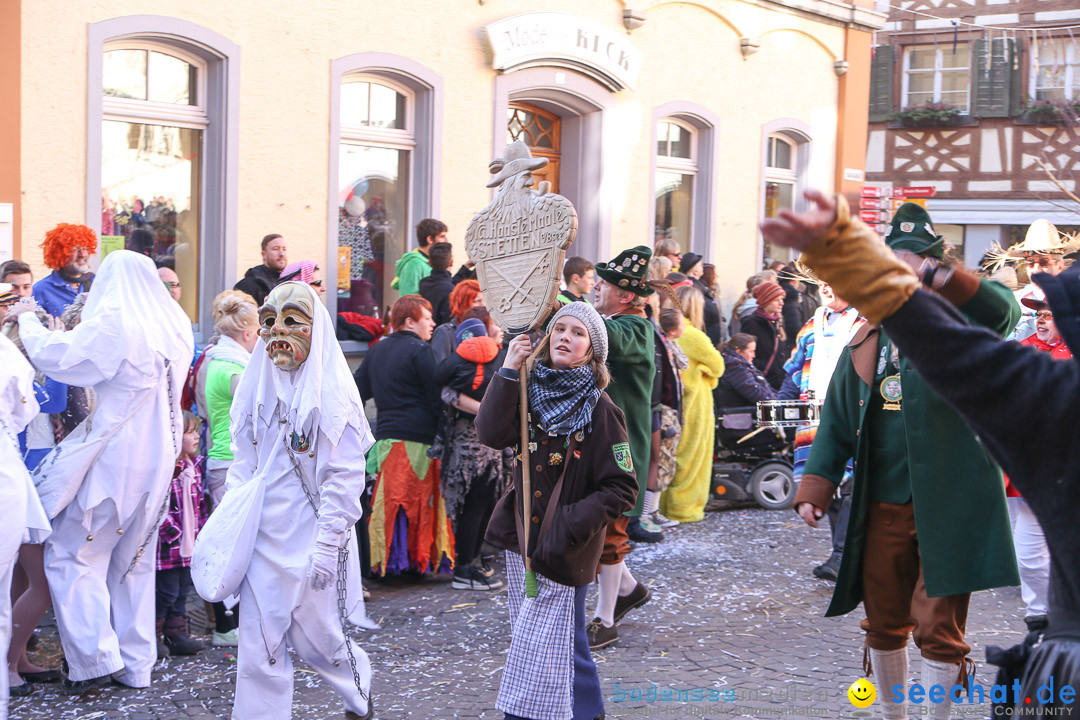 Narrensprung - Narrenbaumsetzen: Meersburg am Bodensee, 23.02.2014