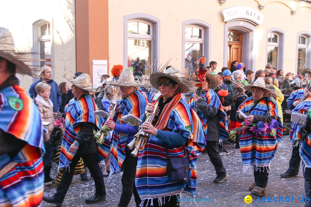 Narrensprung - Narrenbaumsetzen: Meersburg am Bodensee, 23.02.2014