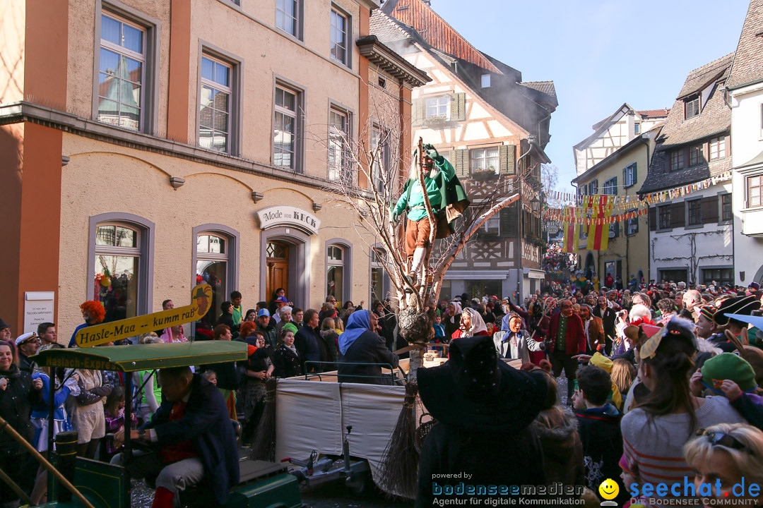 Narrensprung - Narrenbaumsetzen: Meersburg am Bodensee, 23.02.2014