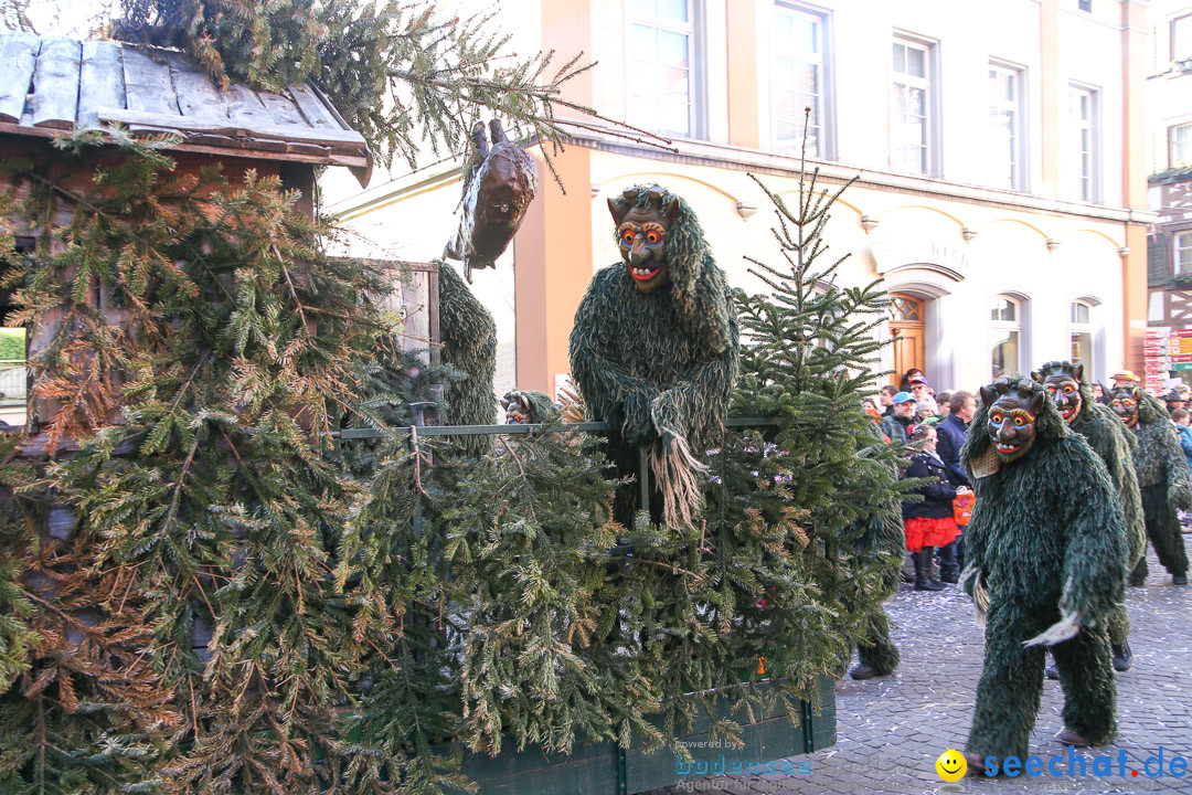 Narrensprung - Narrenbaumsetzen: Meersburg am Bodensee, 23.02.2014