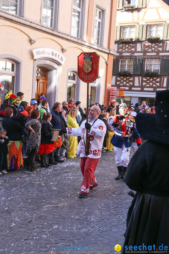 Narrensprung - Narrenbaumsetzen: Meersburg am Bodensee, 23.02.2014