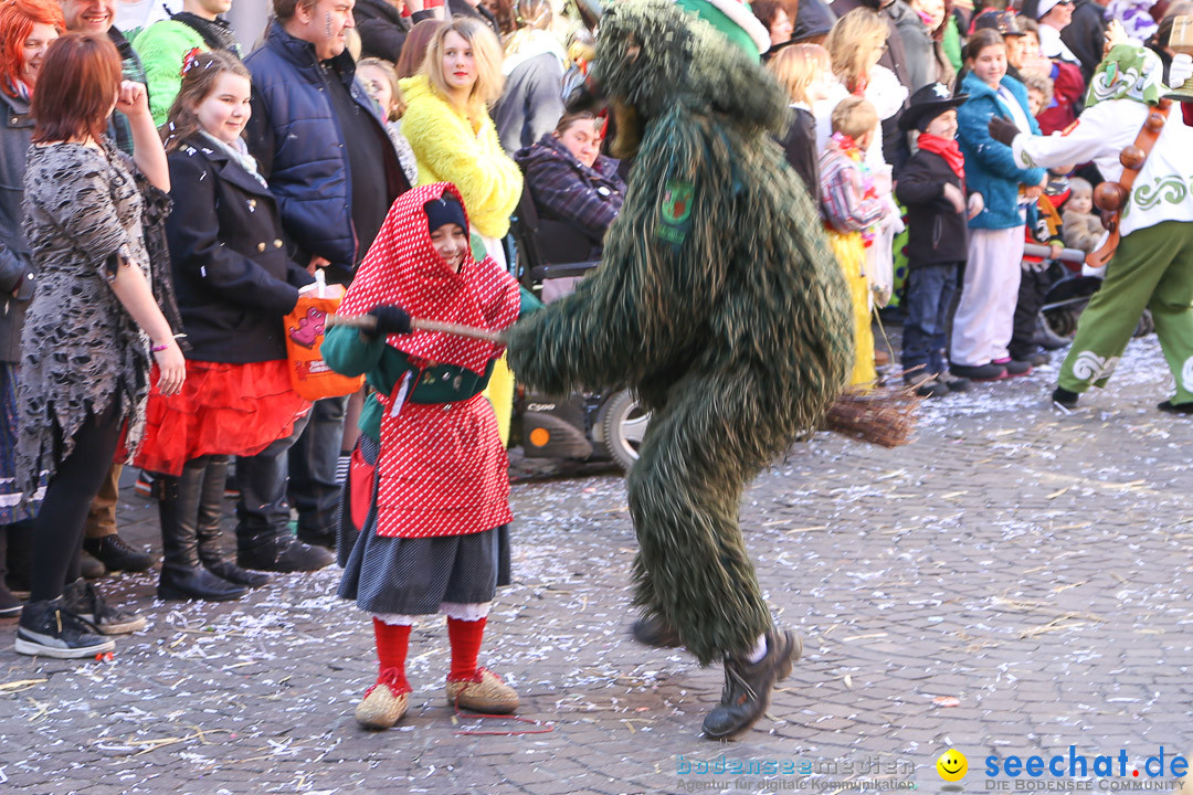 Narrensprung - Narrenbaumsetzen: Meersburg am Bodensee, 23.02.2014