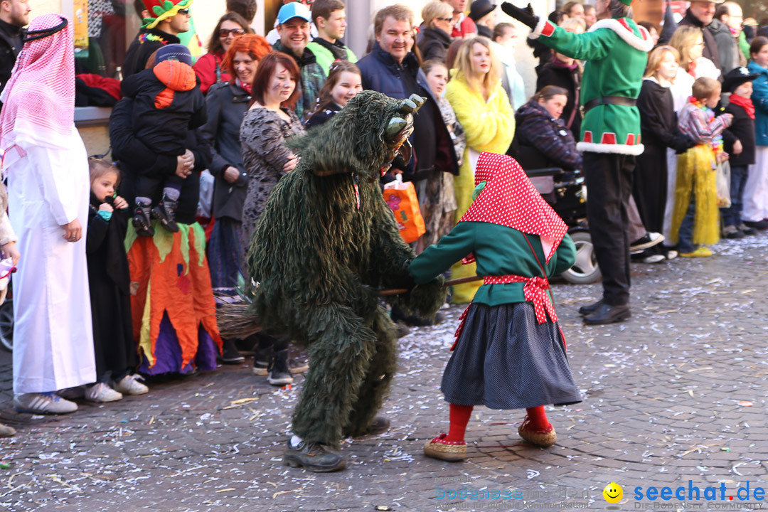 Narrensprung - Narrenbaumsetzen: Meersburg am Bodensee, 23.02.2014