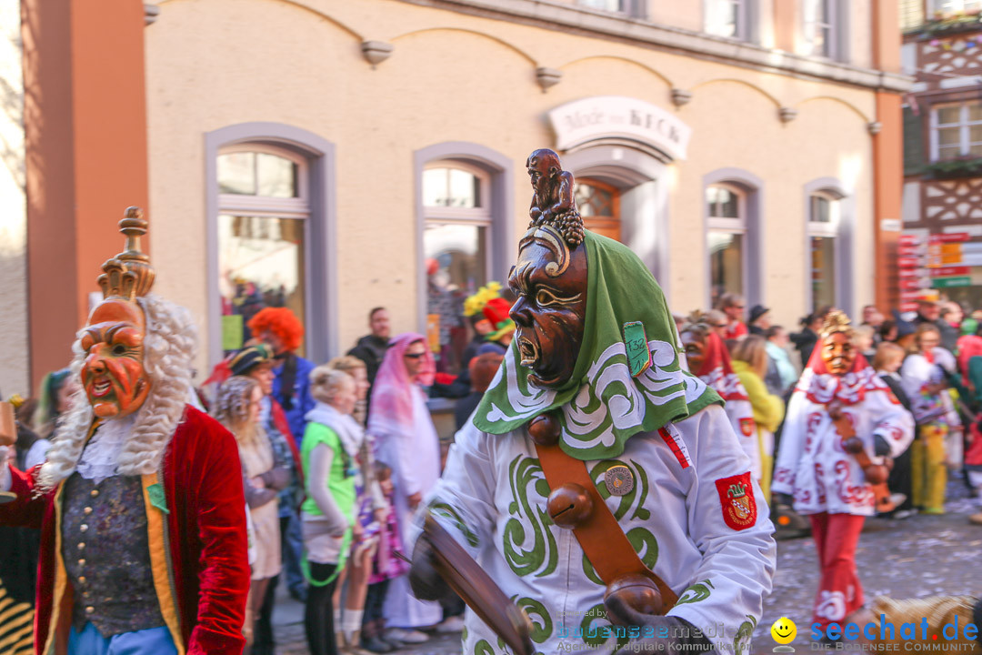 Narrensprung - Narrenbaumsetzen: Meersburg am Bodensee, 23.02.2014