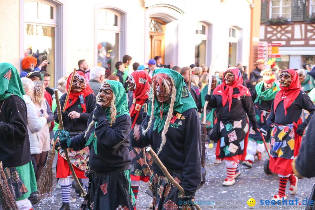 Narrensprung - Narrenbaumsetzen: Meersburg am Bodensee, 23.02.2014