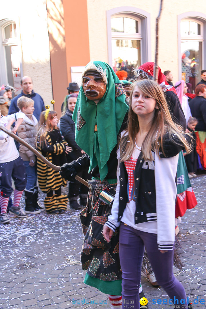 Narrensprung - Narrenbaumsetzen: Meersburg am Bodensee, 23.02.2014