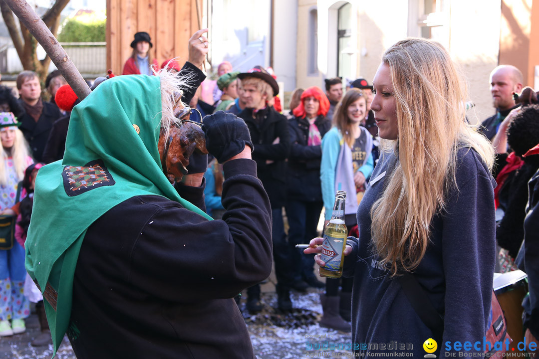 Narrensprung - Narrenbaumsetzen: Meersburg am Bodensee, 23.02.2014